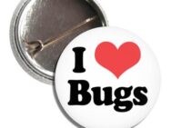 I Love Bugs Button