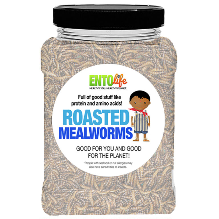 Whole Roasted Mealworms for Human Consumption Edible Insects