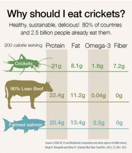 Why-Eat-Bugs-259x300.jpg