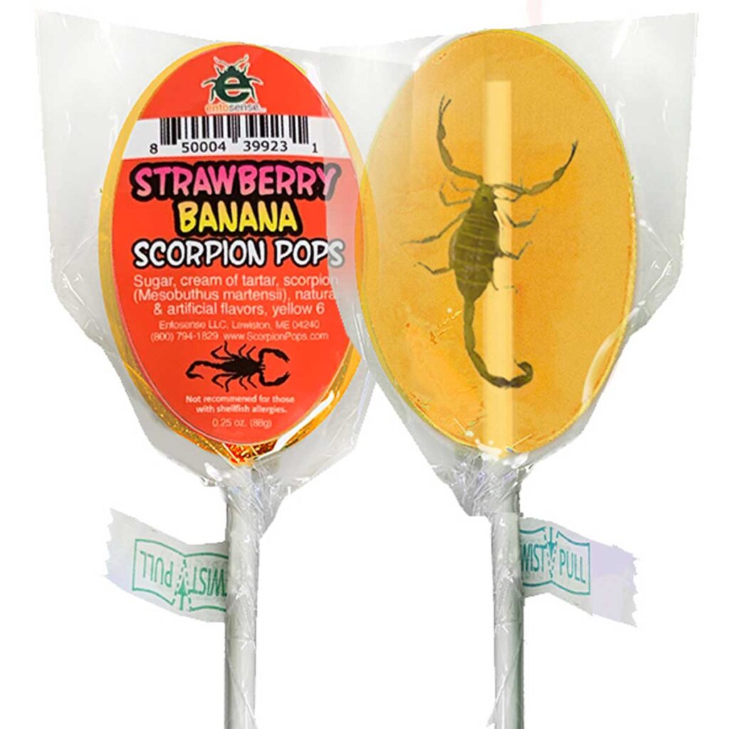 Scorpion Pops | Real Scorpions Encased in a Candy Sucker - Edible Insects